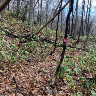 ほら〜時間潰しのお陰でちょっと青空も出できたよーー