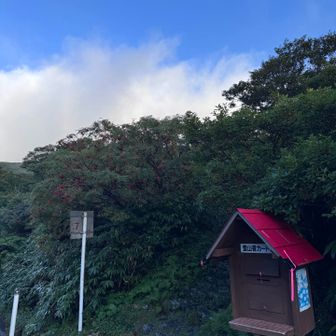 お天気で、よかった
気温は既に20℃