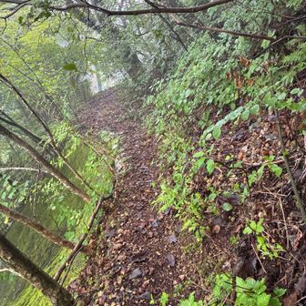 物聞山への入り口