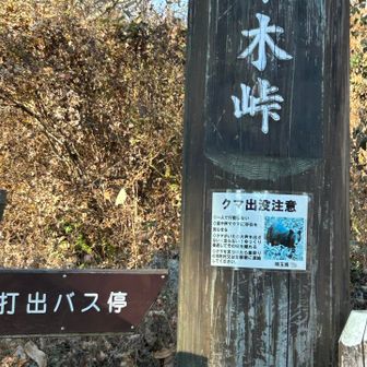 熊注意の看板が多かったです