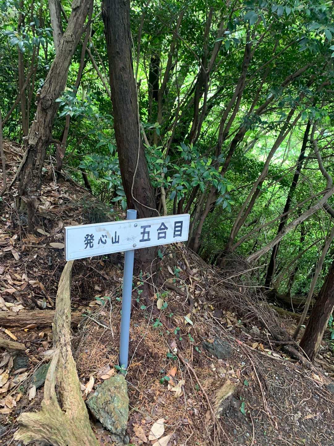 もう8合目くらいかな？と思った時に
またショックなお知らせの看板