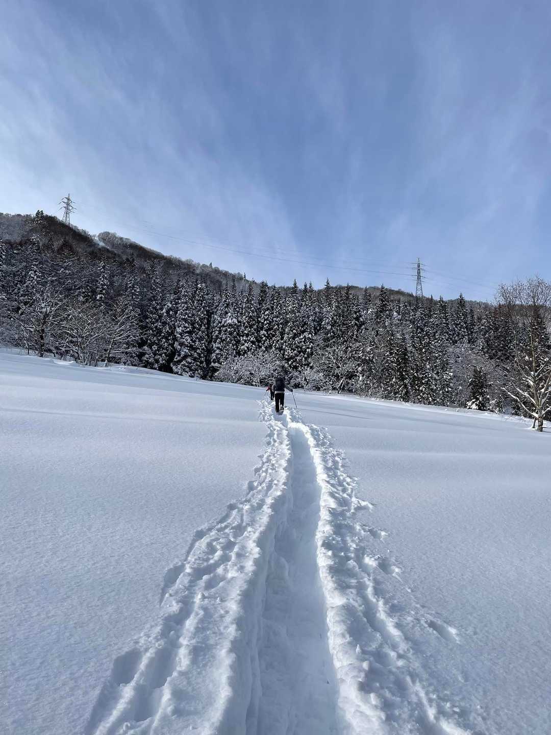 大平口-白鷹山 往復コースの写真