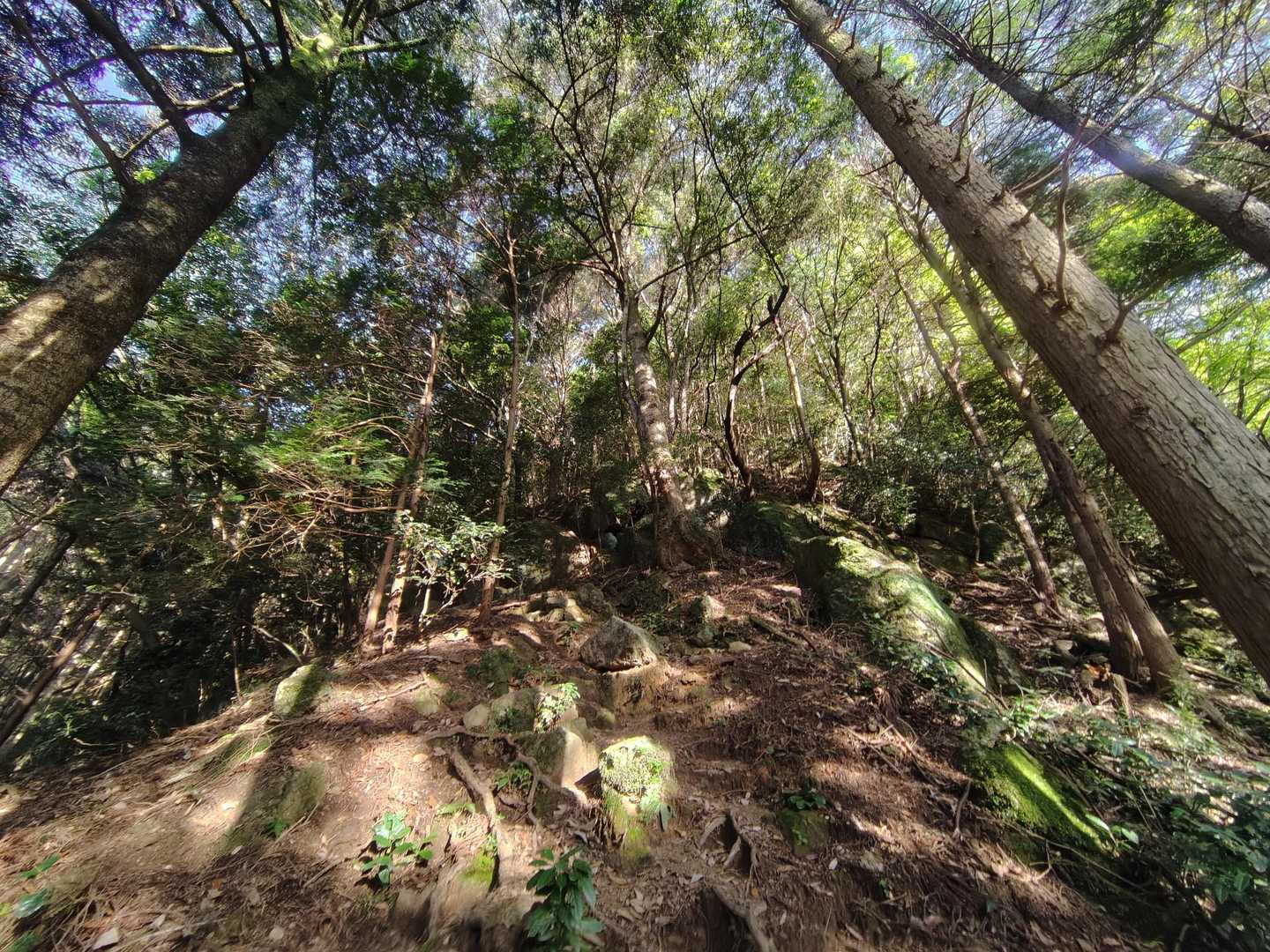 急登が続きます…😓