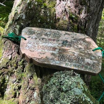 林道を歩き、こまどり沢の水場に到着。
みどり池までがんばって40分と書いてある。