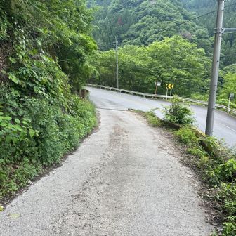 なんやかんやで広い道に出ました。うれしい。