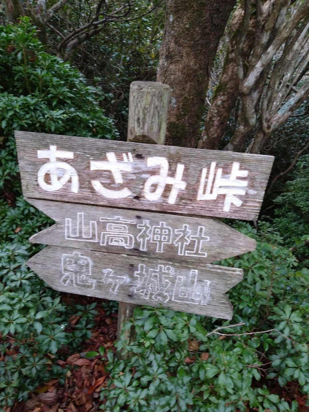 よく見ると神社は右ですよー