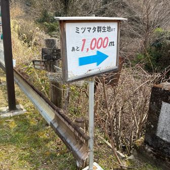 約1kmの登りもあるウォーキング🚶‍♀️