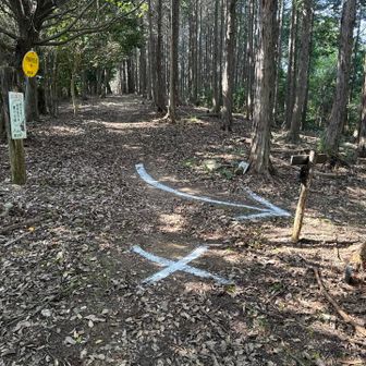 何やら矢印が⤴️新城側に降りるようになっている