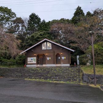 駐車場のトイレ