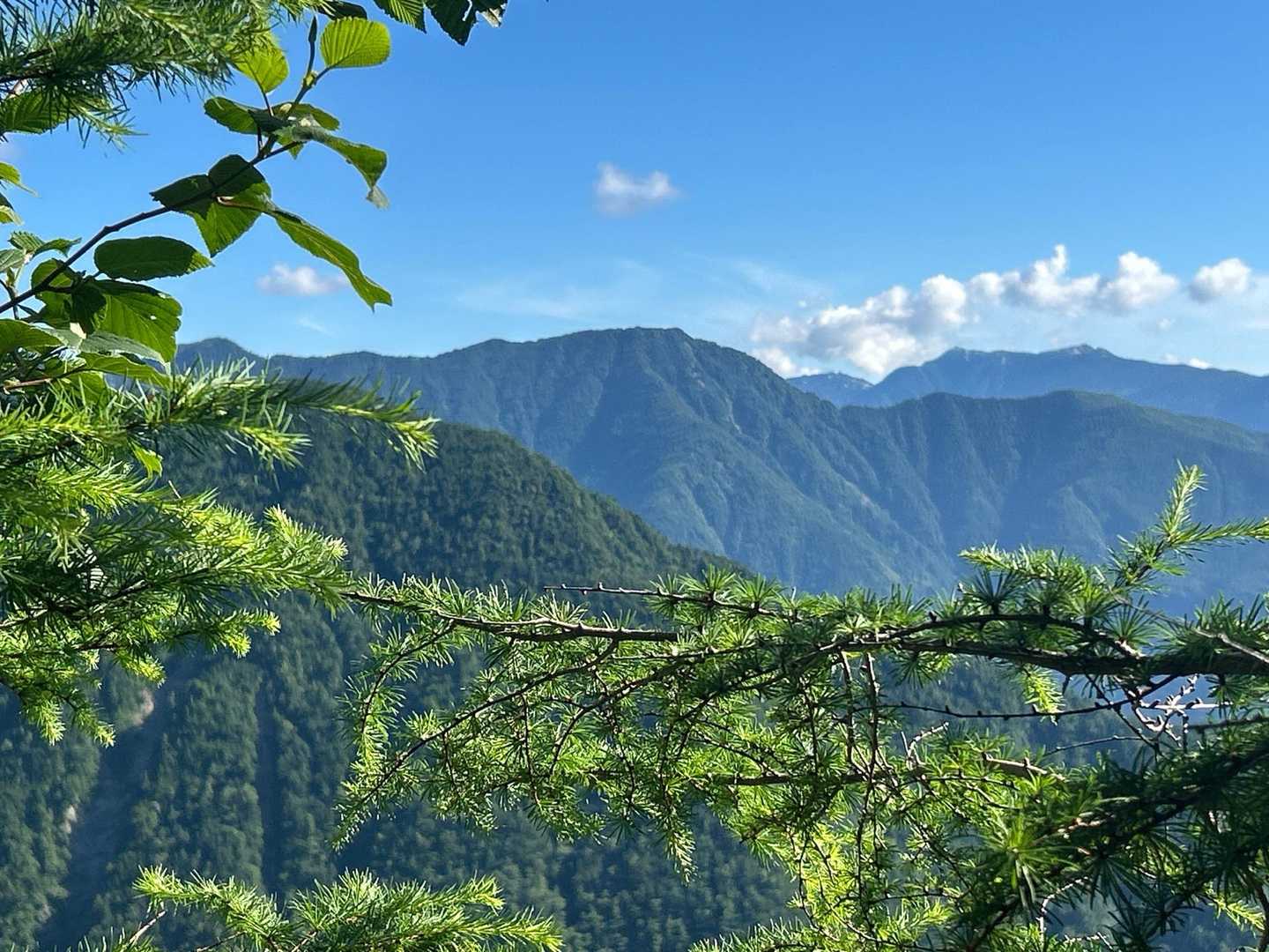 センターには思い出の大唐松山見えた👀