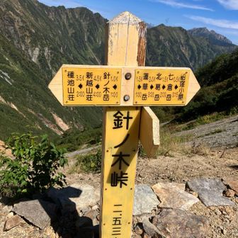 下り憂鬱😞
日暮れまでに帰りたい…
行きはヨイヨイ、帰りはコワい…