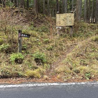 武川岳に向けて再入山。