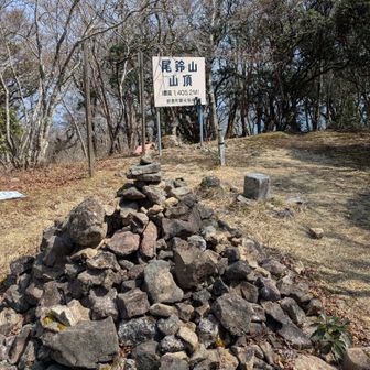 やっと山頂付近へ到着😅ヘロヘロ〜