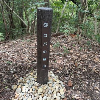 小さいピークがありプチ達成感も味わえる