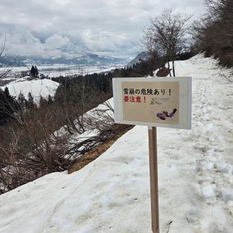 この絵、うまい！