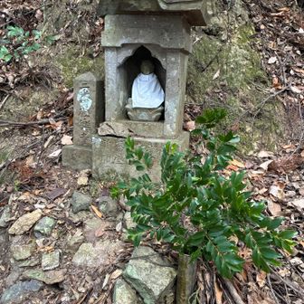 阿弥陀如来様

花筒にお水を足しました。😊