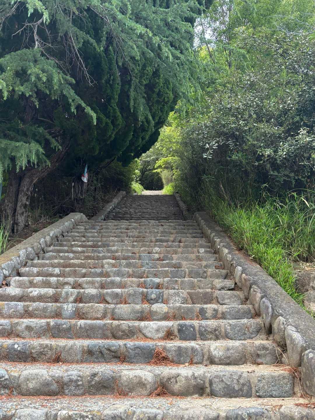ずーっと階段😅