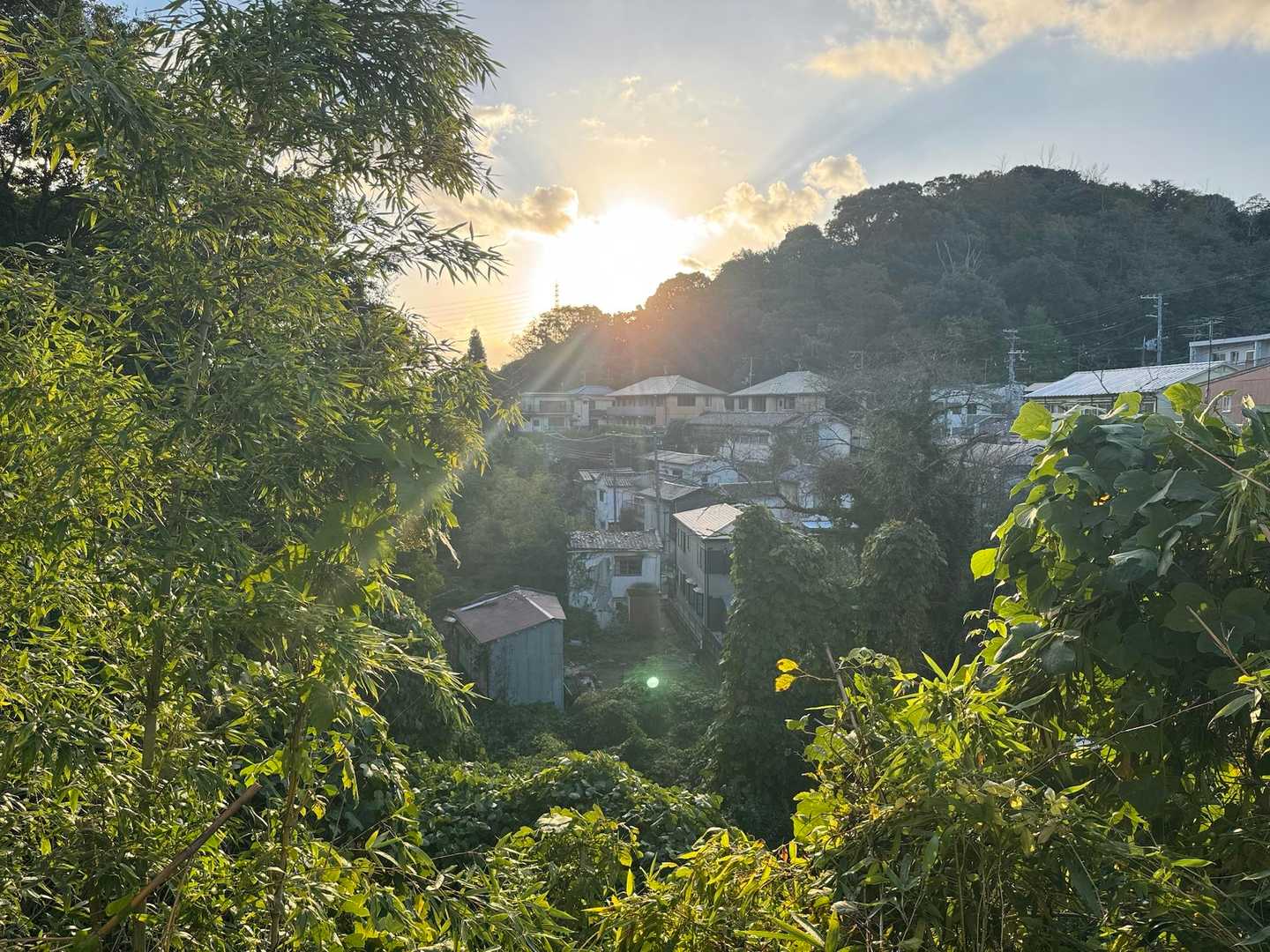 妙法寺駅-高取山 縦走コースの写真