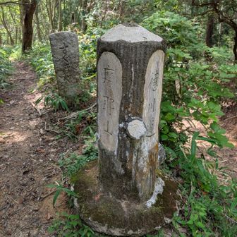 あっち摩耶山↖️↗️徳川道こっち
