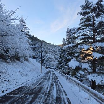 雪あるかもと思ってましたけど案の定ありました