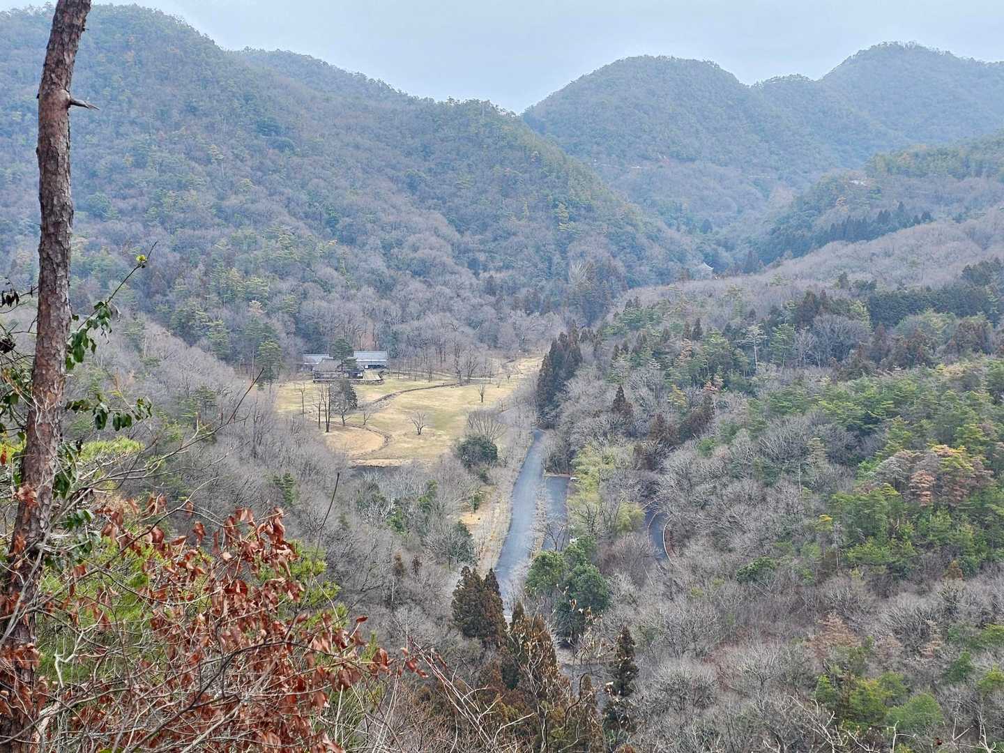 各務野自然遺産の森見えてきた～🤗