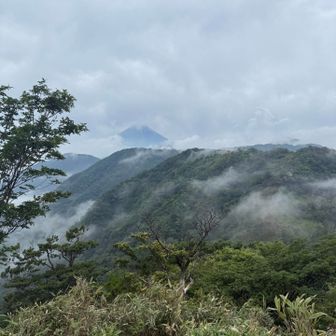 遠目にご褒美富士山