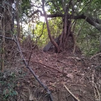 椎尾山山頂。なんもねぇ。