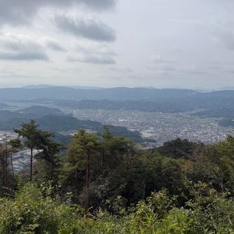 ここからも府中市内