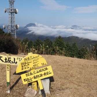 最後のピーク13個目
大坂山登頂⛰️
眺望あり。雲海✨