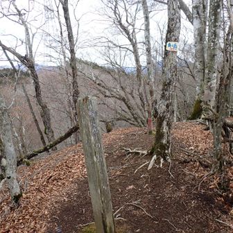 奥ノ岳に立ち寄り