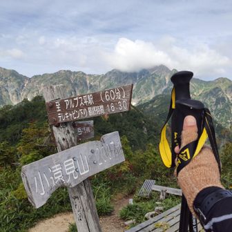 小遠見山に到着⛰️
前半は階段をひたすら登る感じ💨