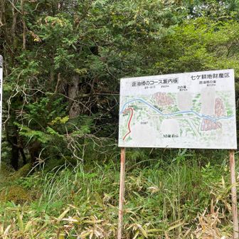 時間があれば、この先にも行ってみたいです！！(^-^)
それなりに歩きそうですが、なかなか見応えありそうな滝です♪♪