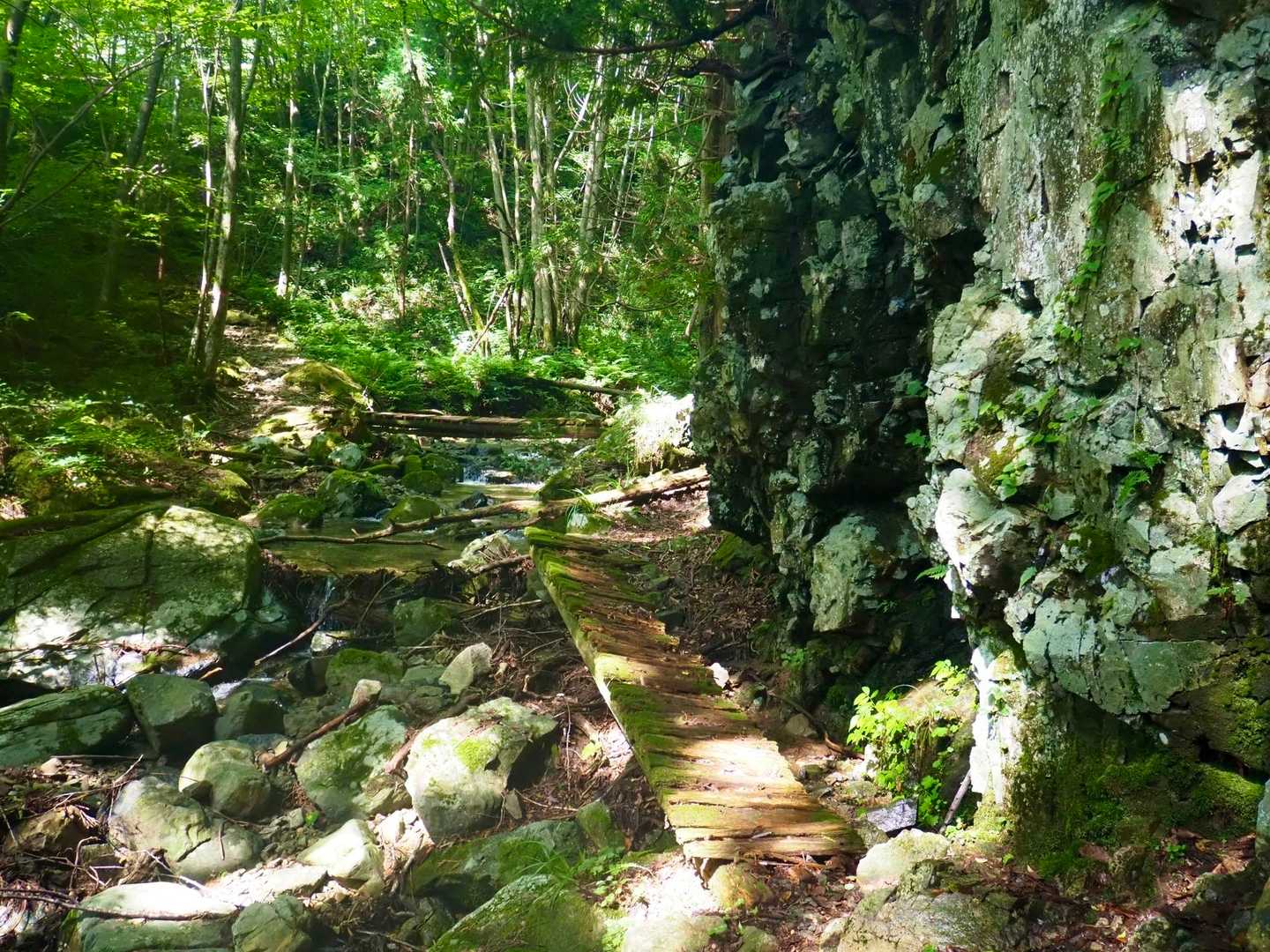 年季の入った橋3