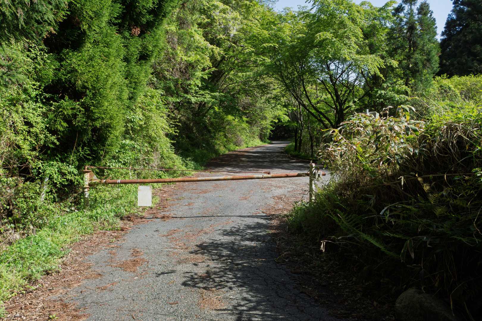 雷山登山口に到着
駐車しているところまで舗装路をてくてく
この時間ともなると井原山登山口～雷山登山口間で停まっている車はうちの車をいれて３台のみ
相変わらずのスローペースで長居しすぎました