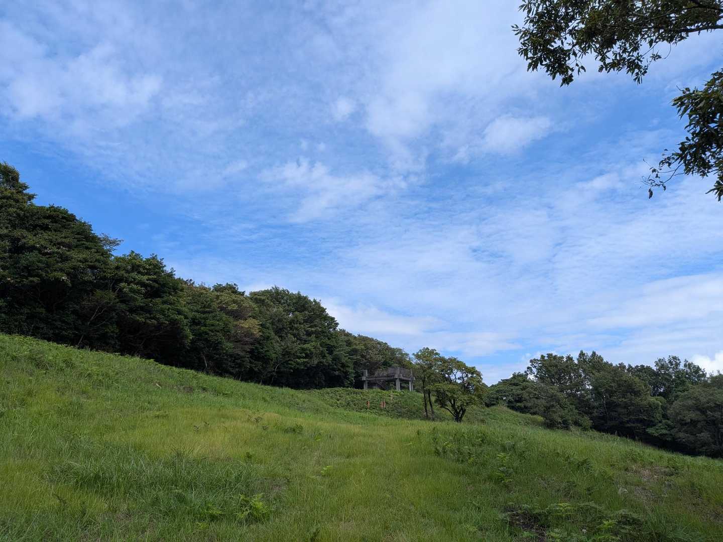 頂上は広々⛰️