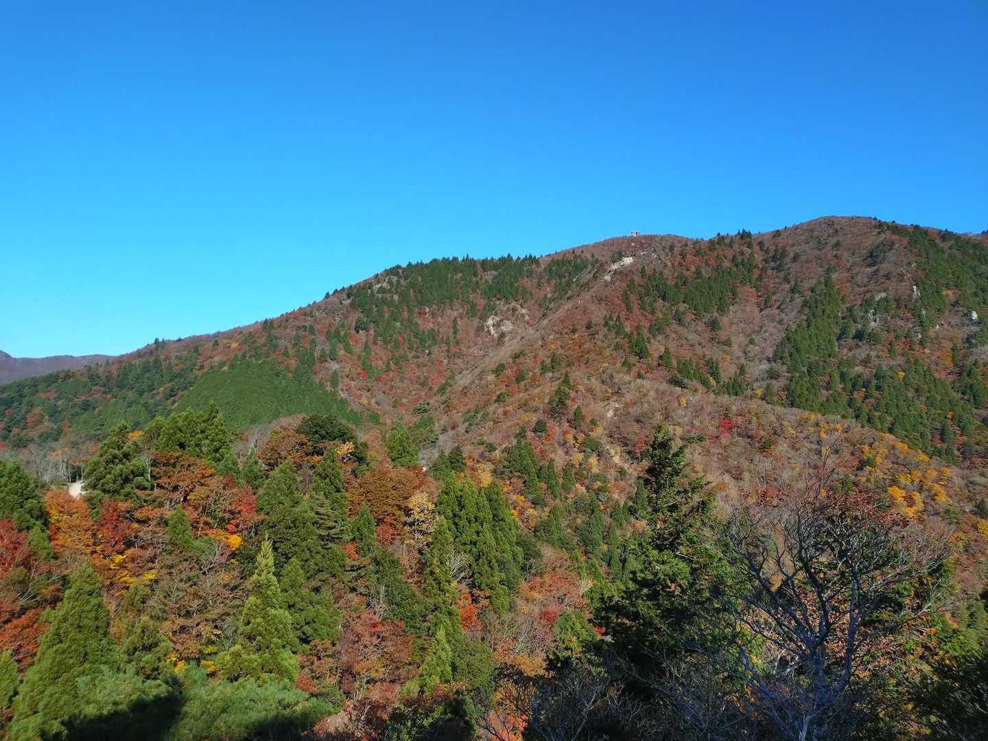 中登山口-武平峠-鎌ヶ岳-弥一ヶ岳 周回コースの写真