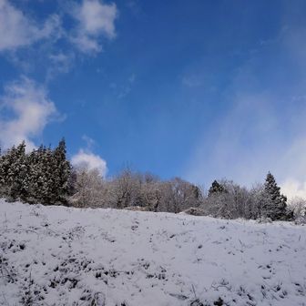 ❄雪化粧した木々が、🔵青空に映えます💕