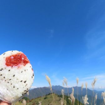 山頂おにぎり🍙最高✨️

さ〜て、帰らなくっちゃ
帰りもアップダウン(そりゃそう)

⚠︎︎次