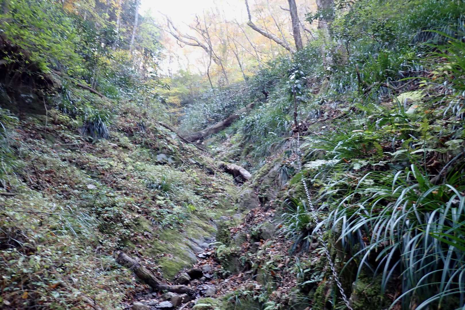 結構…
ヌレ岩岩です🐾
