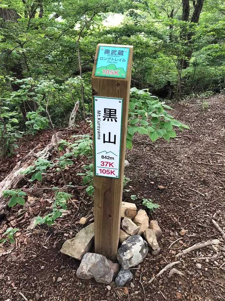 黒山の写真