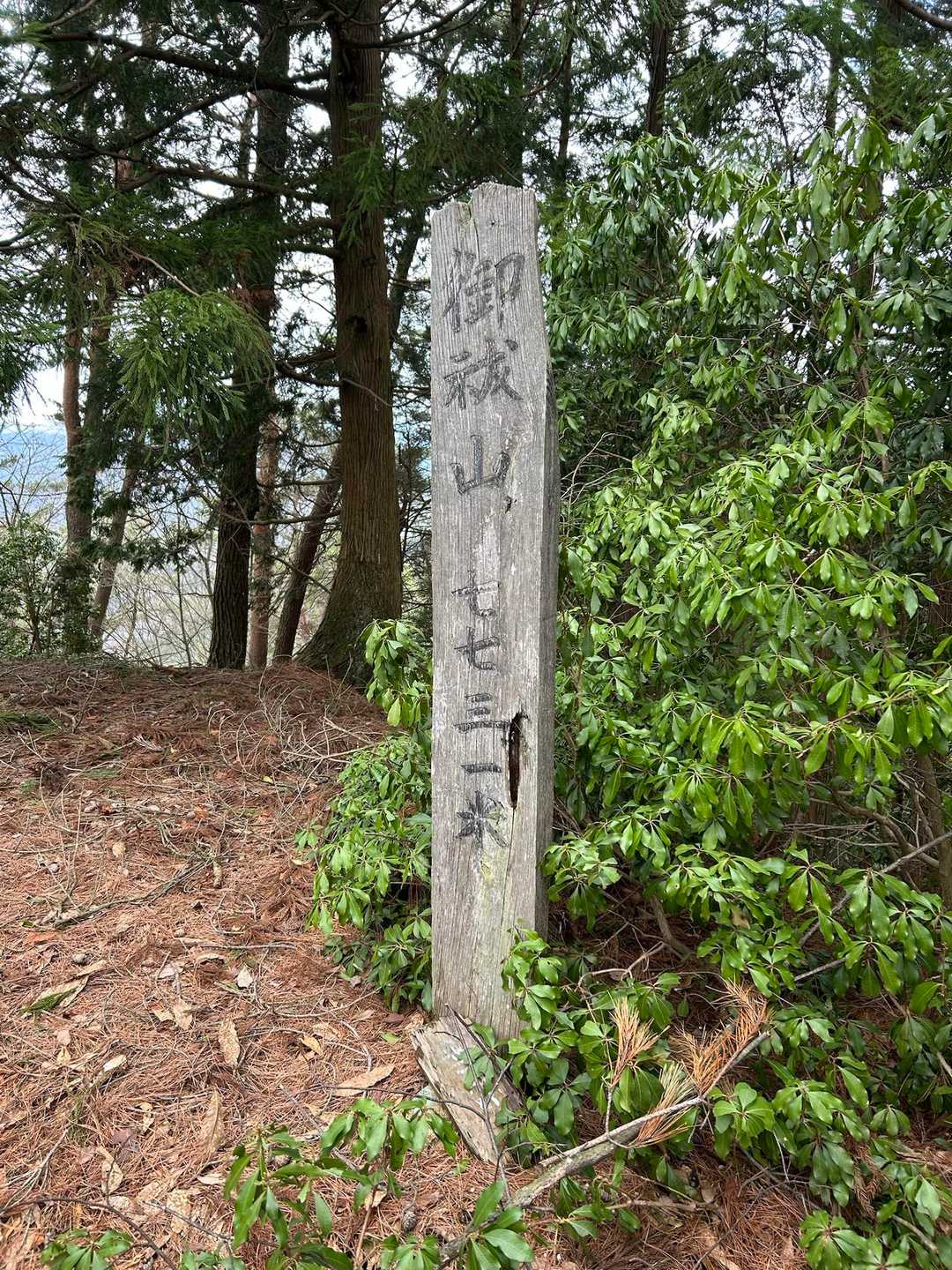 山頂到着🙌