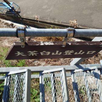 登山口はこちらからになります