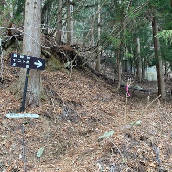登山口に着地
ここから林道