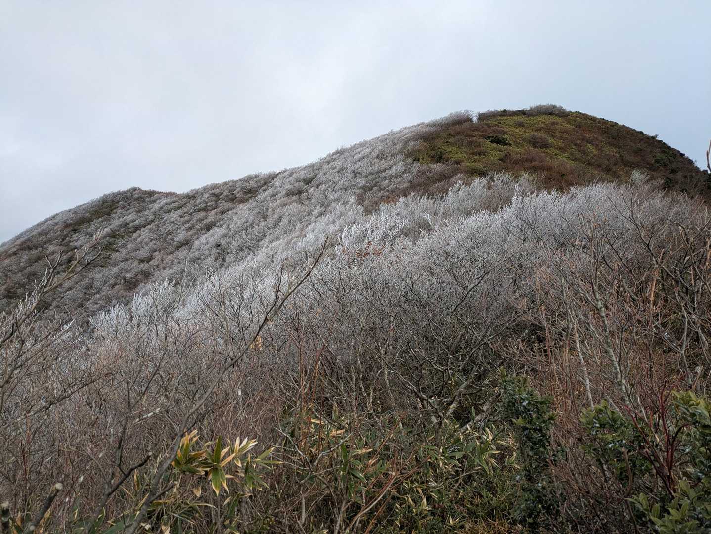 面白山 カモシカコース〜紅葉川 周回コースの写真