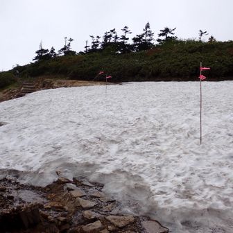 登山道に雪