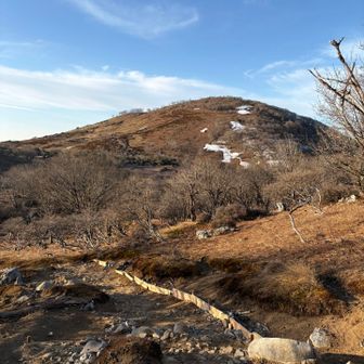 藤原岳頂上まであと少しです。
山荘と頂上の間ですが、鞍部の道がかなりドロドロでした。私の通過した時間は凍結していたので、問題無く通過できました。
頂上への登り坂も一部ドロドロでした。
朝日で少し溶けてきたので、滑りやすい状況でした。
気温が上がって溶けてくると大変でしょうね。