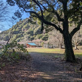 山小屋なくなって初めて来ましたけど…何か殺風景になった😞下山してあれ見たら帰って来た〜😌と安心してたんです。キャンプ場とトイレと自販機は残ってますよ。あ😳今回のテーマだった青螺山は…想像よりきついお山でした。もう少し簡単なお山だと思ってた😅←最近登ってないだけで、7〜8回は登ってるはず。

今日は、駐車場の2/3は埋まるくらい登山客いました😳青螺山にはけむくじゃらのふんごふんご言ってる登山客もいましたし🤔❓️🐗💦