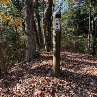 ブランチ後、小淵山に到着⛰️全く展望なし