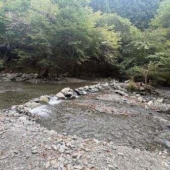 適当な岩と浅めな所狙って強行突破しました