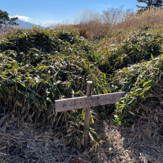 次は少し入ったこの標識の裏側から突入すると